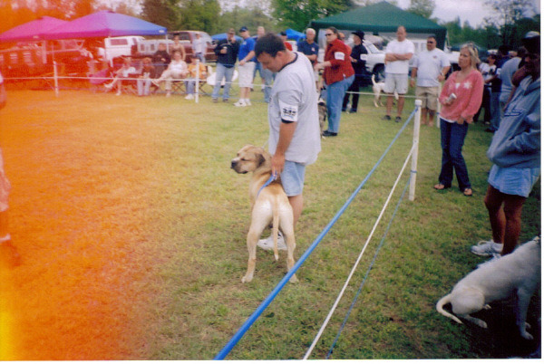 Tommy & Doc's 1st Place at the HOD Show