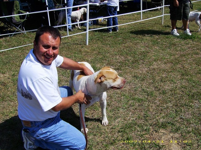 Tommy & Goldi at a HOD show