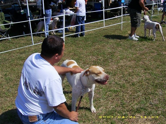 Tommy & Goldi at a HOD show 2