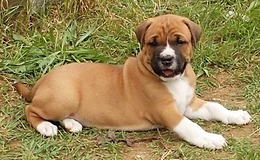 Our Rusty